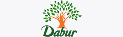 Paradise Packers and Movers