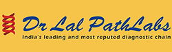 Paradise Packers and Movers