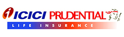 Paradise Packers and Movers